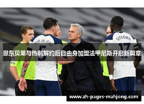 恩东贝莱与热刺解约后自由身加盟法甲尼斯开启新篇章